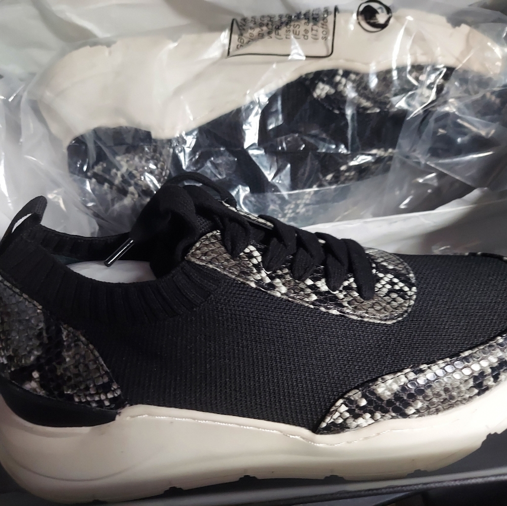 Steve madden Pari. sneaker NEW IN BOX